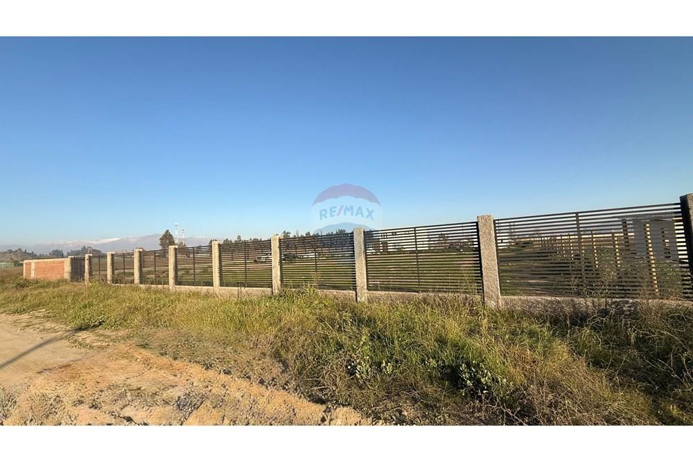 Mieszkaniowa - Nieruchomość wiejska - Calera De Tango, Maipo, Metropolitana De Santiago - CL - IMG_2146.jpeg - 1028050036-531