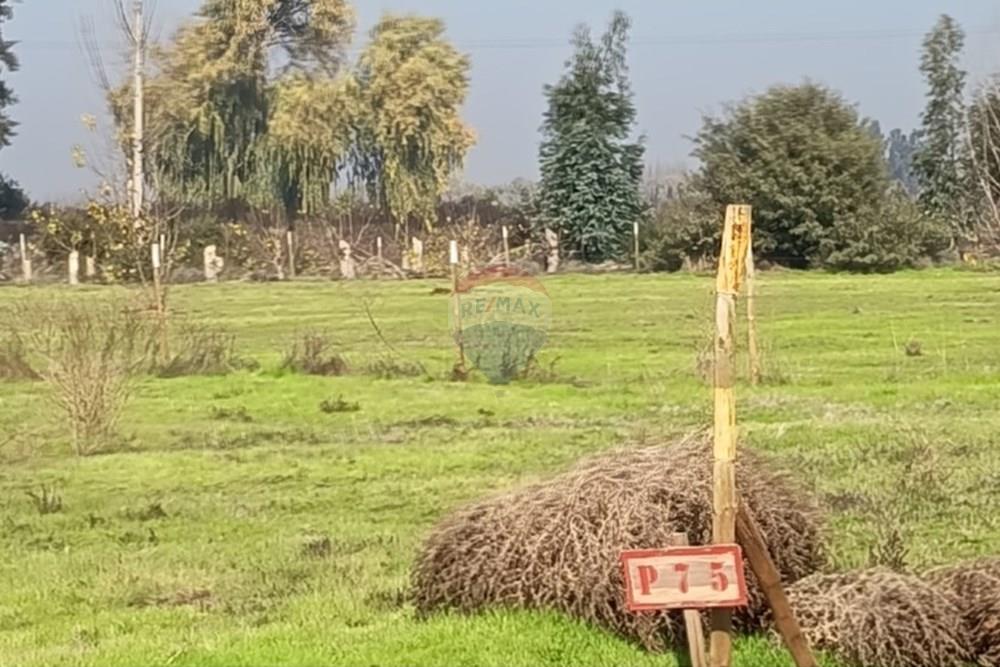 Residential - Herregård - Lampa, Chacabuco, Metropolitana De Santiago - CL - Imagen5.jpg - 1028096092-4