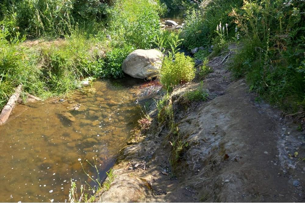 Residential - Ledig land - Litueche, Cardenal Caro, Libertador Gral. Bernardo O'Higgins - CL - Imagen de WhatsApp 2025-01-02 a las 15.20.57_d8878592.jpg - 1028103011-35