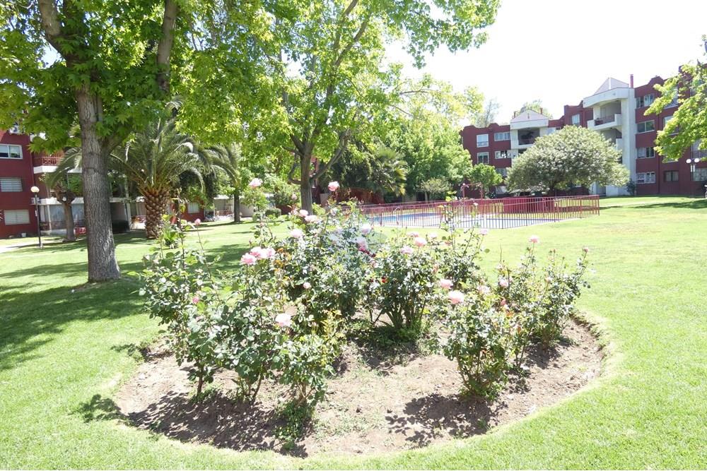 Residencial - Piso - Maipú, Santiago, Metropolitana De Santiago - CL - P1170674.JPG - 1028018333-433