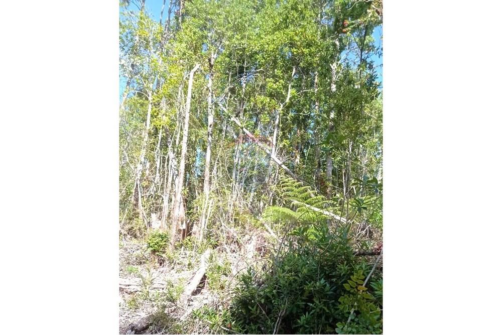 Woningbouw - Grond voor toek. bouw ontwikkeleing - Calbuco, Llanquihue, Los Lagos - CL - WhatsApp Image 2025-06-09 at 11.57.15 AM.jpeg - 1028109099-64