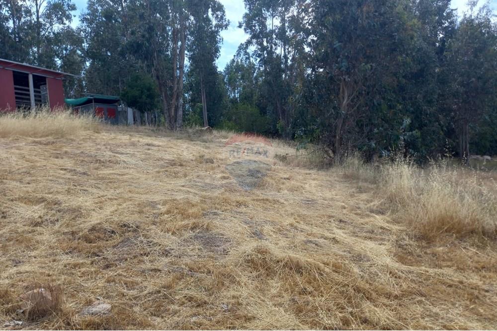 Residential - Ledig land - Litueche, Cardenal Caro, Libertador Gral. Bernardo O'Higgins - CL - Imagen de WhatsApp 2025-01-02 a las 15.22.14_814fdd36.jpg - 1028103011-35