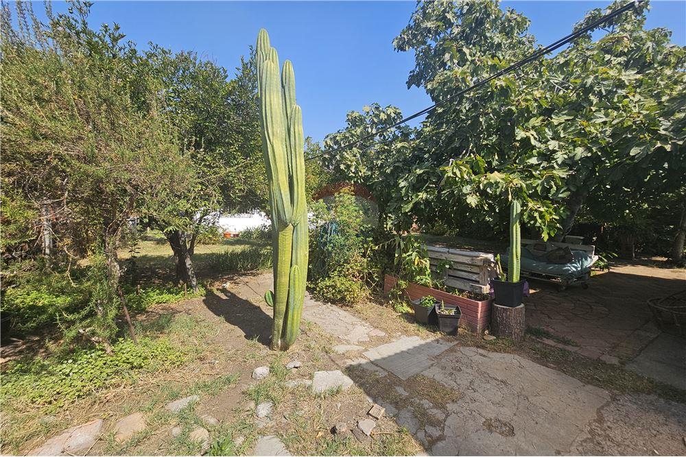 Residential - ਅਲੱਗ ਥਲੱਗ ਬਣਿਆ ਹੋਇਆ ਘਰ - La Florida, Santiago, Metropolitana De Santiago - CL - 21 - 1028018070-1380