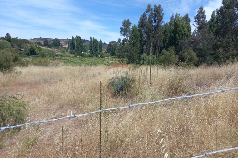 Residential - Ledig land - Litueche, Cardenal Caro, Libertador Gral. Bernardo O'Higgins - CL - Imagen de WhatsApp 2025-01-02 a las 15.22.13_15452ae1.jpg - 1028103011-35