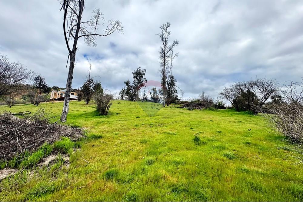 Rezidenčná - Pozemok - Casablanca, Valparaíso, Valparaíso - CL - IMG_8010.jpg - 1028037167-1425