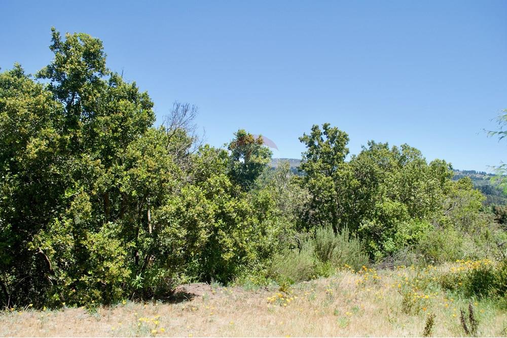 Residential - Plot of Land for Hospitality Development - Valparaíso, Valparaíso, Valparaíso - CL - 15. Parcelas Turbinas - DSC_0171.jpeg - 1028076010-499