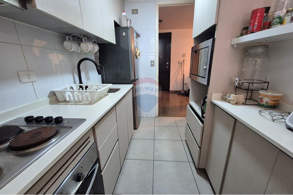 Residential - Stanovanje - Santiago, Santiago, Metropolitana De Santiago - CL - 20251004_151415.jpg - 1028057172-7