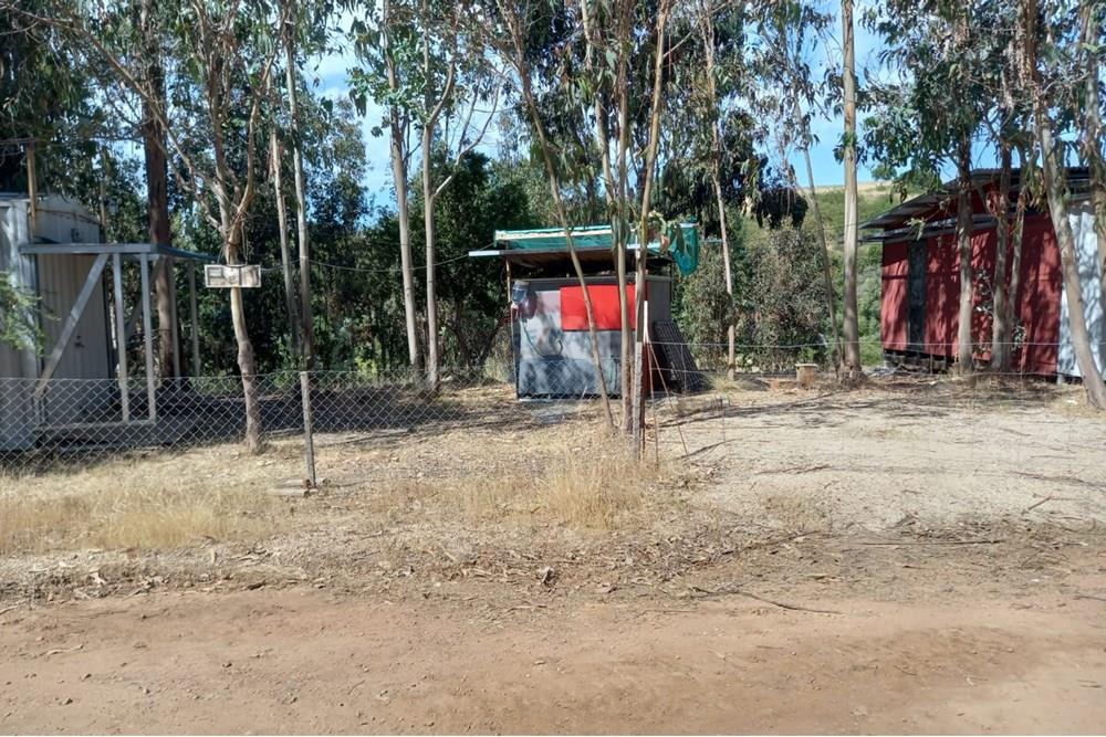 Residential - Ledig land - Litueche, Cardenal Caro, Libertador Gral. Bernardo O'Higgins - CL - Imagen de WhatsApp 2025-01-02 a las 15.20.57_cae486fc.jpg - 1028103011-35