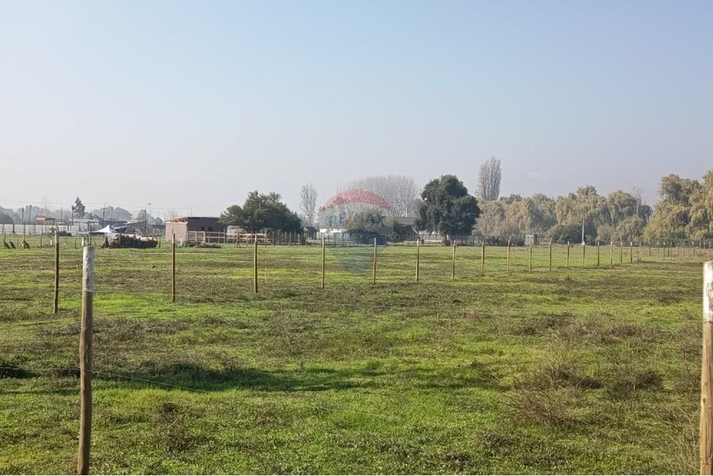 Residential - Herregård - Lampa, Chacabuco, Metropolitana De Santiago - CL - IMG_20250605_115835.jpg - 1028096092-4