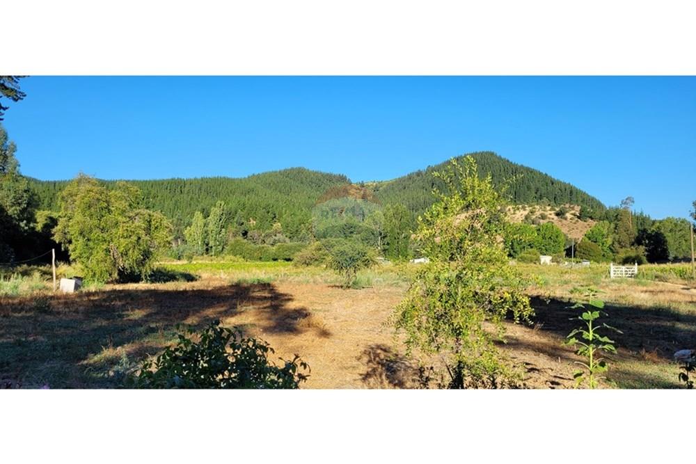 Residential - ਪਿੰਡ ਦਾ ਘਰ - Portezuelo, Itata, Ñuble - CL - 20250202_190439.jpg - 1028091021-98