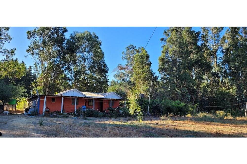 Residential - ਪਿੰਡ ਦਾ ਘਰ - Portezuelo, Itata, Ñuble - CL - 20250202_190018.jpg - 1028091021-98