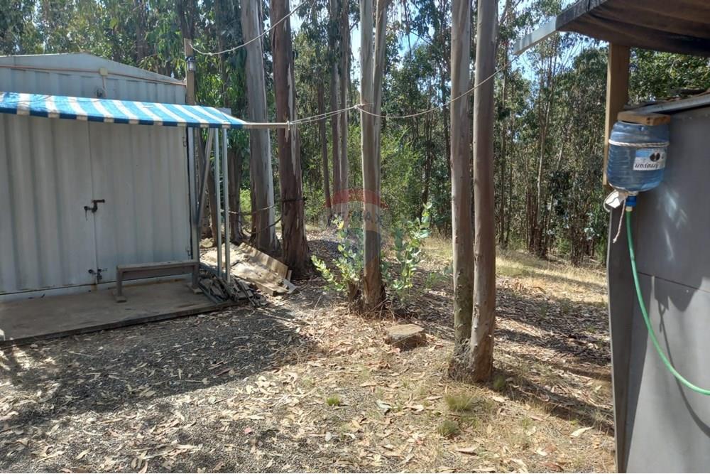 Residential - Ledig land - Litueche, Cardenal Caro, Libertador Gral. Bernardo O'Higgins - CL - Imagen de WhatsApp 2025-01-02 a las 15.22.16_e251d66c.jpg - 1028103011-35