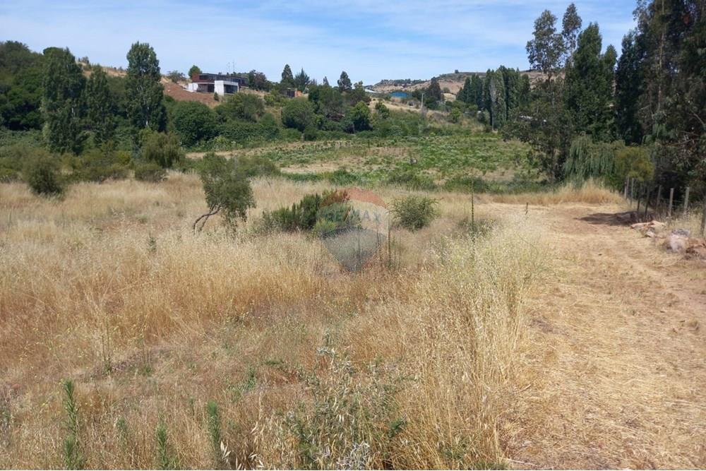 Residential - Ledig land - Litueche, Cardenal Caro, Libertador Gral. Bernardo O'Higgins - CL - Imagen de WhatsApp 2025-01-02 a las 15.22.13_8804b400.jpg - 1028103011-35