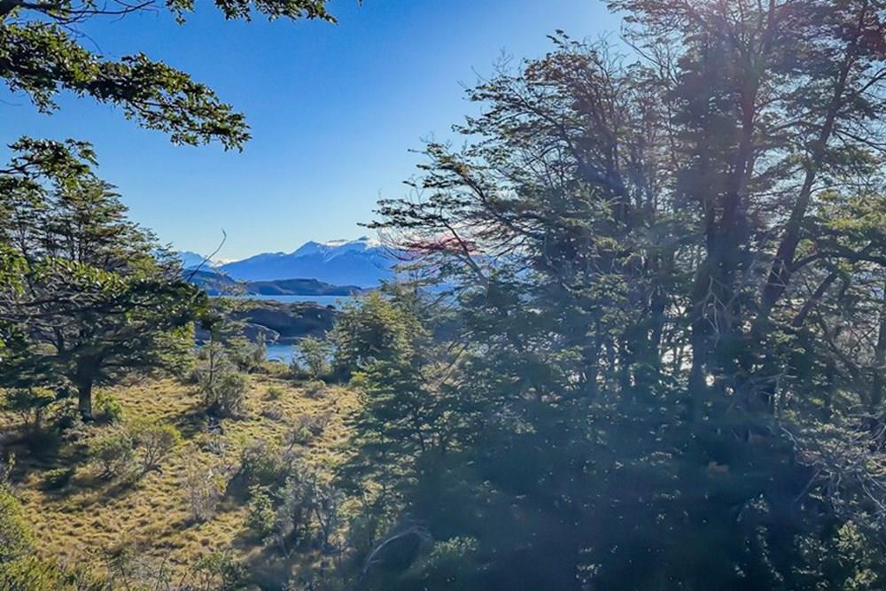 Gyvenamasis - Žemės sklypas - Chile Chico, General Carrera, Aisén - CL - IMG_2763.jpg - 1028085049-21