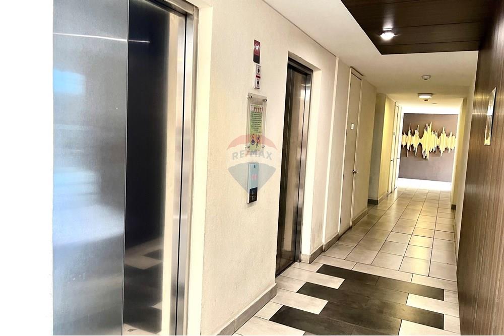 Жилищен - Апартамент - La Reina, Santiago, Metropolitana De Santiago - CL - IMG_6579.jpeg - 1028098015-628