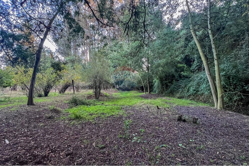 Komersyal - Lupa - Valparaíso, Valparaíso, Valparaíso - CL - 24.jpg - 1028102046-40