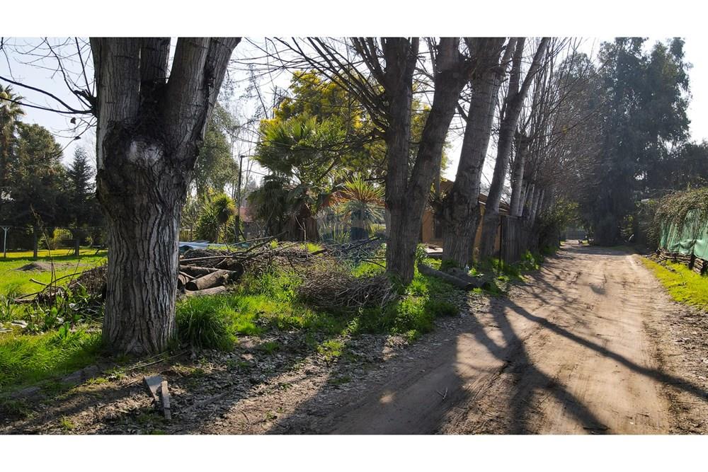 Comercial - Teren - San Bernardo, Maipo, Metropolitana De Santiago - CL - 8.jpg - 1028057154-69