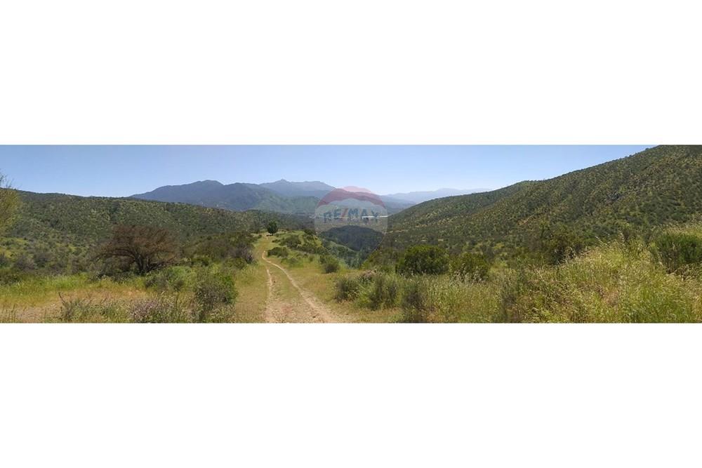 Residential - Land - Curacaví, Melipilla, Metropolitana De Santiago - CL - IMG-20240118-WA0015.jpg - 1028091010-163