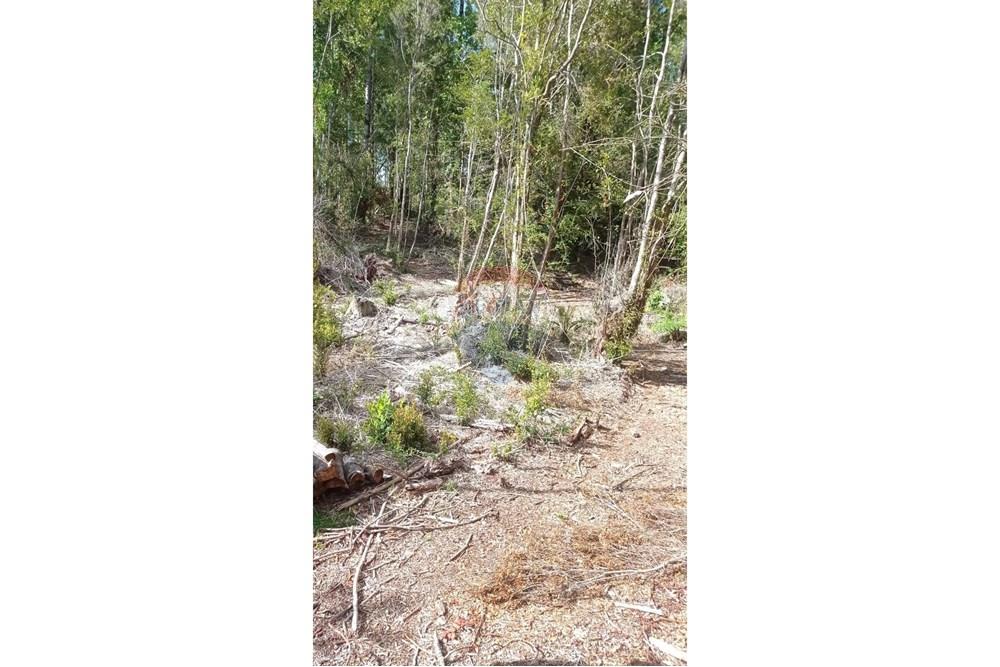 Woningbouw - Grond voor toek. bouw ontwikkeleing - Calbuco, Llanquihue, Los Lagos - CL - WhatsApp Image 2025-06-09 at 11.57.14 AM (3).jpeg - 1028109099-64