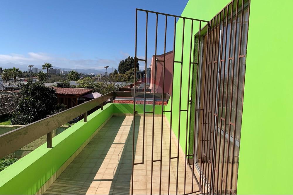 Elamine - Eramu - Coquimbo, Elqui, Coquimbo - CL - IMG_0294.jpg - Rõdu - 1028018333-414