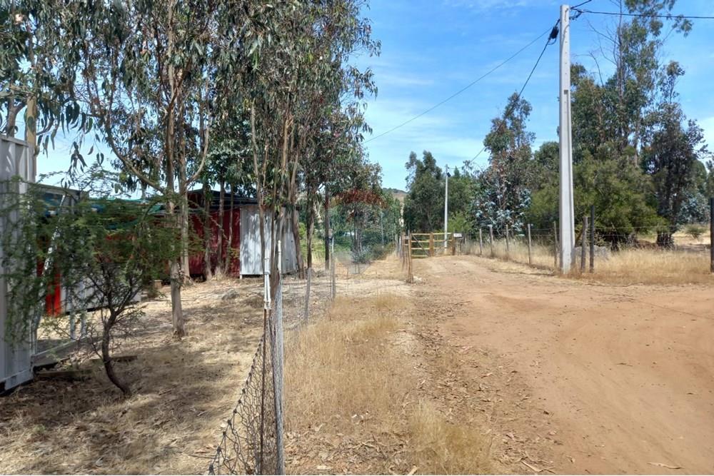 Residential - Ledig land - Litueche, Cardenal Caro, Libertador Gral. Bernardo O'Higgins - CL - Imagen de WhatsApp 2025-01-02 a las 15.22.17_b200621d.jpg - 1028103011-35