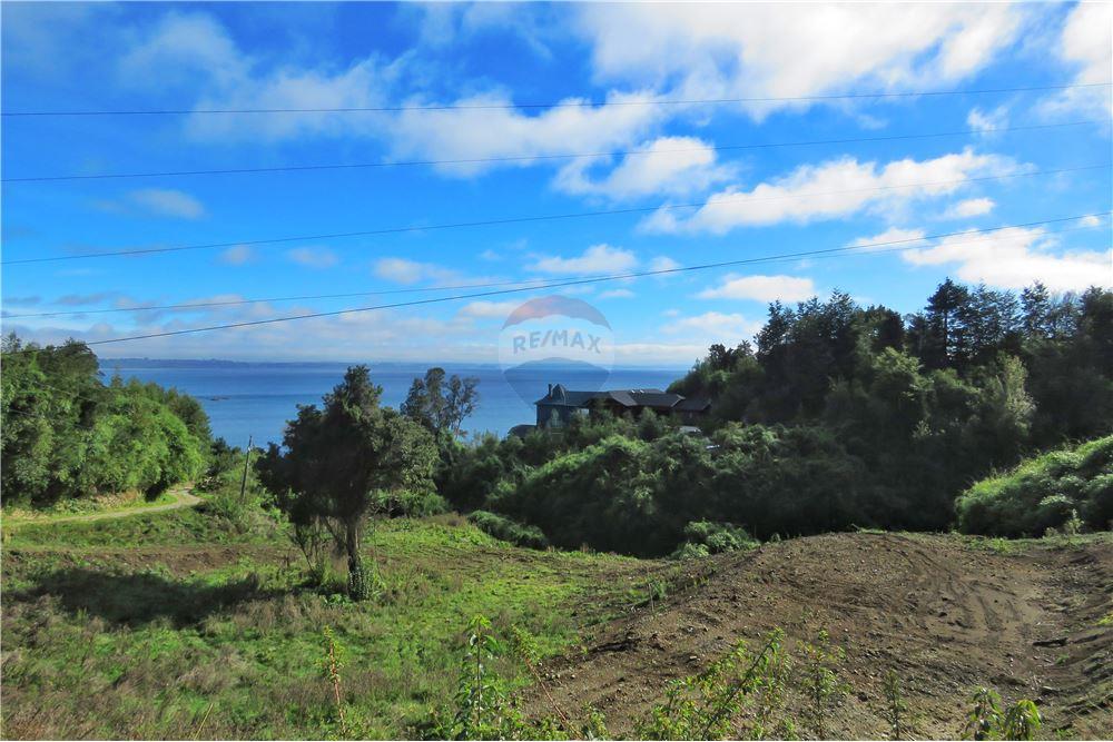Residential - ที่ดินสำหรับอยู่อาศัย - Puerto Varas, Llanquihue, Los Lagos - CL - 2 - 1028076051-391