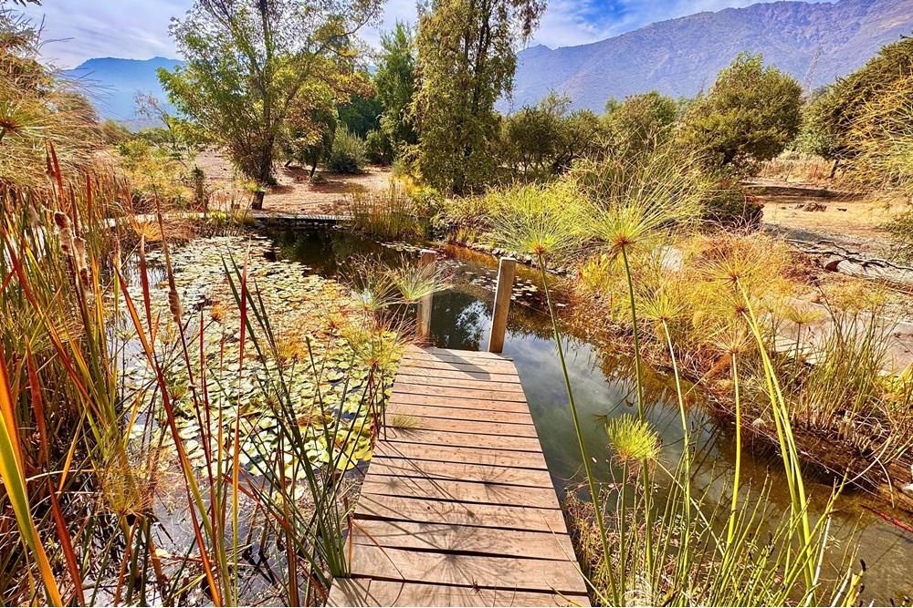 lakó - szabadonálló ház - La Florida, Santiago, Metropolitana De Santiago - CL - IMG_4494.jpg - 1028018291-683