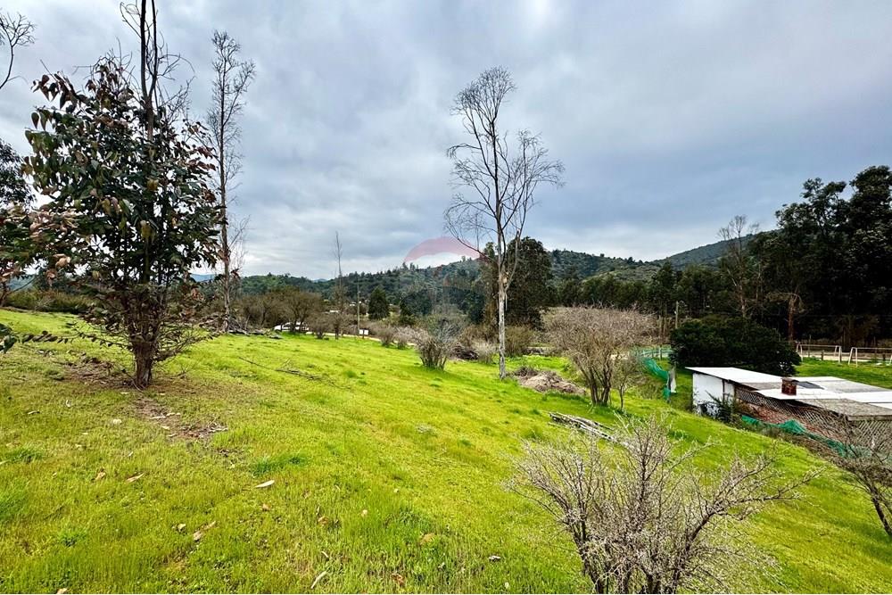 Rezidenčná - Pozemok - Casablanca, Valparaíso, Valparaíso - CL - IMG_8006.jpg - 1028037167-1425