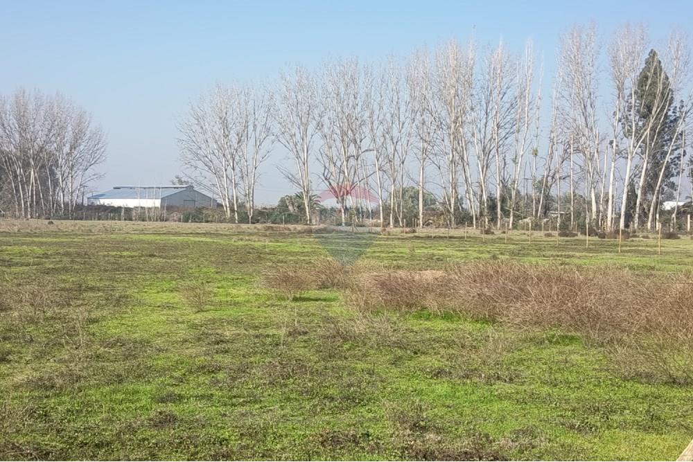 Residential - Herregård - Lampa, Chacabuco, Metropolitana De Santiago - CL - IMG_20250605_115839.jpg - 1028096092-4