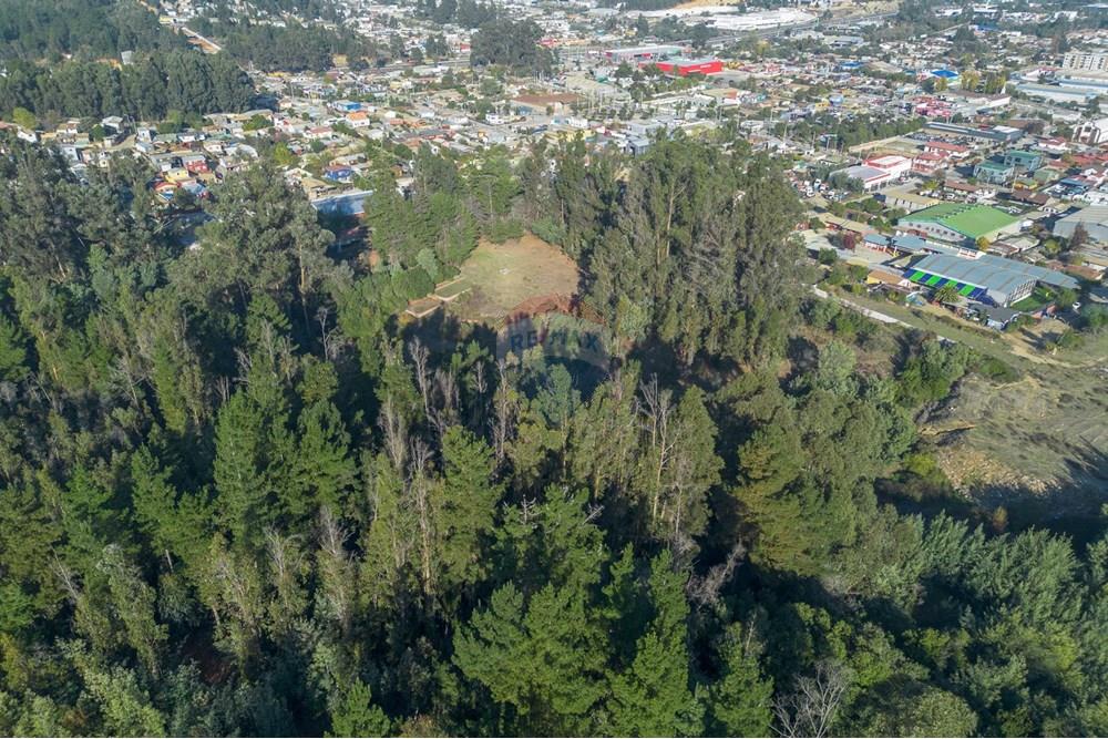 Komersyal - Lupa - Valparaíso, Valparaíso, Valparaíso - CL - 3.jpg - 1028102046-40