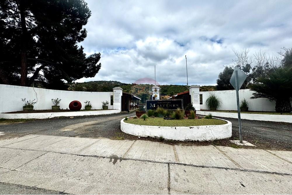 Rezidenčná - Pozemok - Casablanca, Valparaíso, Valparaíso - CL - IMG_8026.jpg - 1028037167-1425