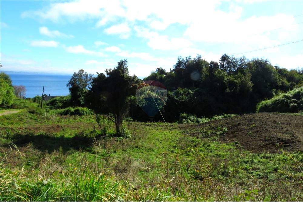 Residential - ที่ดินสำหรับอยู่อาศัย - Puerto Varas, Llanquihue, Los Lagos - CL - 7 - 1028076051-391