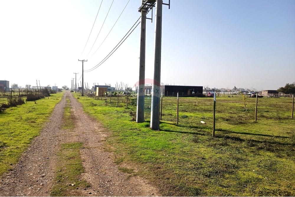 Residential - Herregård - Lampa, Chacabuco, Metropolitana De Santiago - CL - IMG_20250605_122243.jpg - 1028096092-4