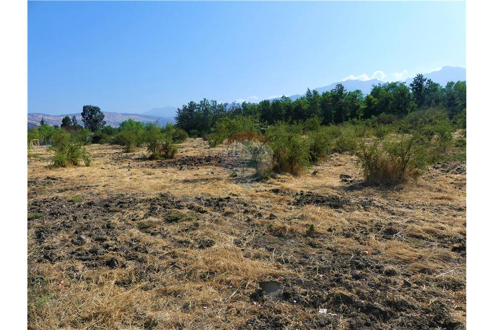 Konut - Arazi - Colina, Chacabuco, Metropolitana De Santiago - CL - 13 - 1028018148-405