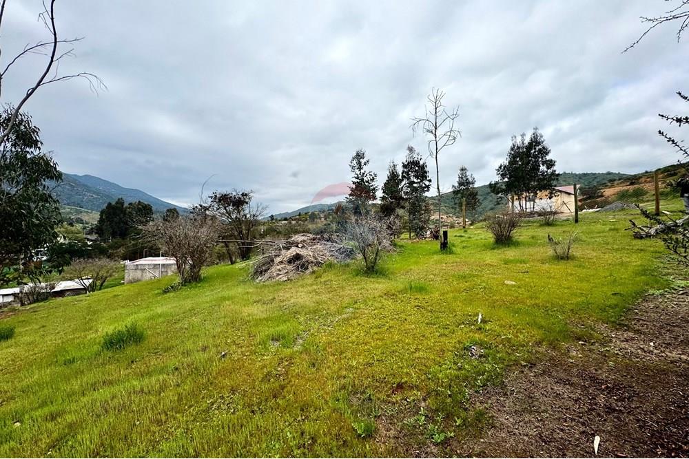 Rezidenčná - Pozemok - Casablanca, Valparaíso, Valparaíso - CL - IMG_8003.jpg - 1028037167-1425