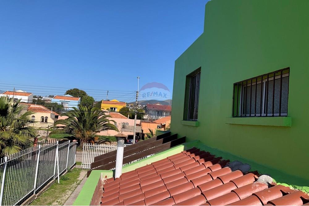 Elamine - Eramu - Coquimbo, Elqui, Coquimbo - CL - IMG_0296.jpg - Rõdu - 1028018333-414