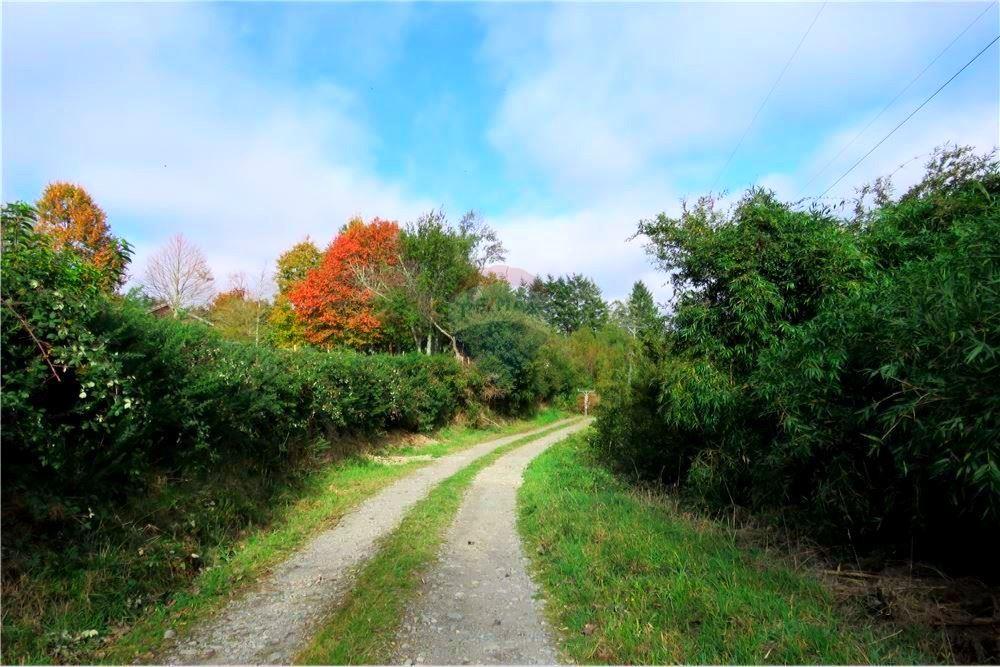 Residential - ที่ดินสำหรับอยู่อาศัย - Puerto Varas, Llanquihue, Los Lagos - CL - 14 - 1028076051-391