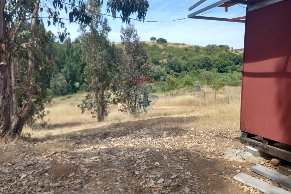 Residential - Ledig land - Litueche, Cardenal Caro, Libertador Gral. Bernardo O'Higgins - CL - Imagen de WhatsApp 2025-01-02 a las 15.22.17_fe09171d.jpg - 1028103011-35