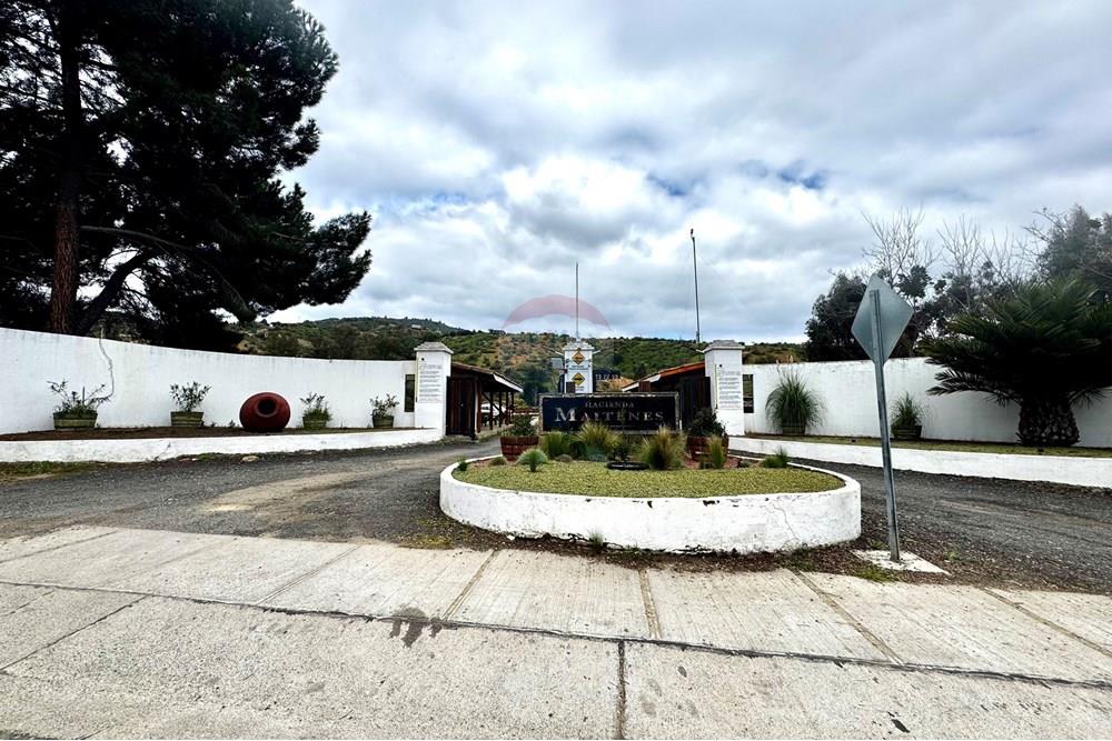 Rezidenčná - Pozemok - Casablanca, Valparaíso, Valparaíso - CL - IMG_8027.jpg - 1028037167-1425