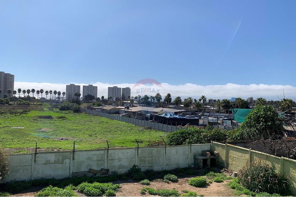 Elamine - Eramu - Coquimbo, Elqui, Coquimbo - CL - IMG_0295.jpg - Muu - 1028018333-414