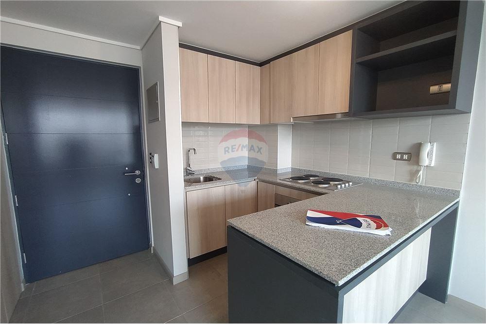 Residenziale - Appartamento - La Cisterna, Santiago, Metropolitana De Santiago - CL - 1 - 1028101002-138