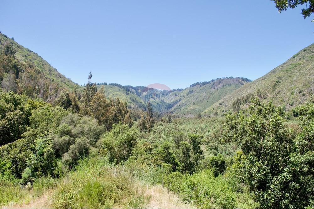 Residential - Plot of Land for Hospitality Development - Valparaíso, Valparaíso, Valparaíso - CL - 43. Parcelas Turbinas - DSC_0177.jpeg - 1028076010-499