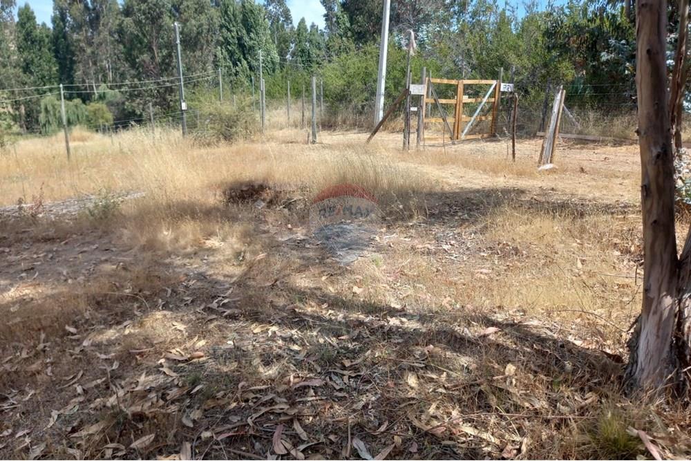 Residential - Ledig land - Litueche, Cardenal Caro, Libertador Gral. Bernardo O'Higgins - CL - Imagen de WhatsApp 2025-01-02 a las 15.21.33_f3635949.jpg - 1028103011-35