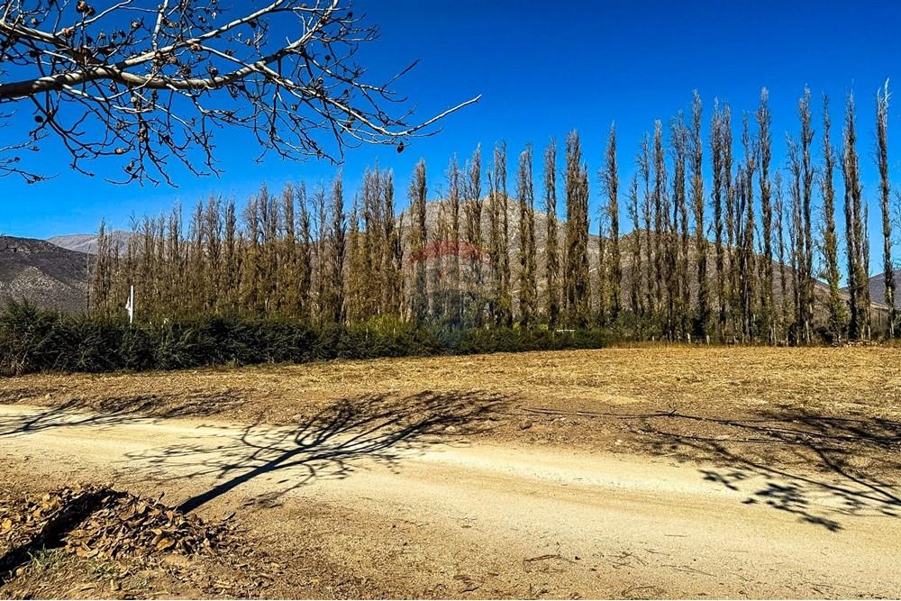Residenční - Pozemek - Calle Larga, Los Andes, Valparaíso - CL - IMG_9045.JPG - 1028037205-11