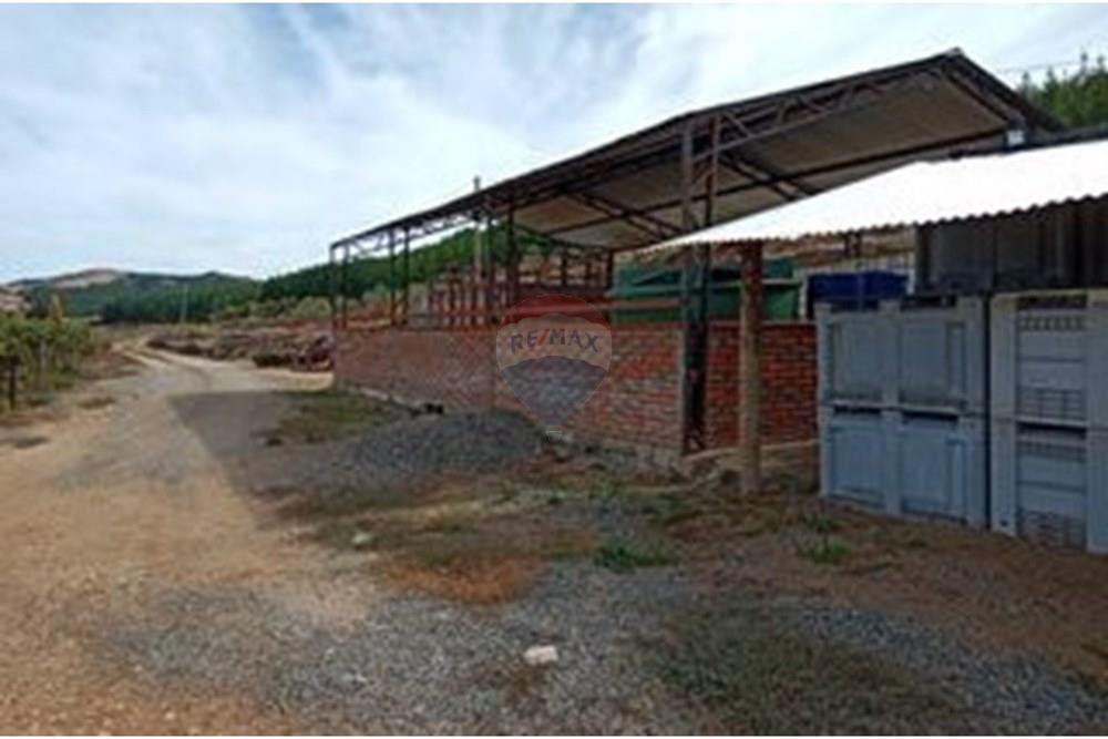 Residential - عقار ريفي - San Javier, Linares, Maule - CL - 1000024274.jpg - 1028098015-608