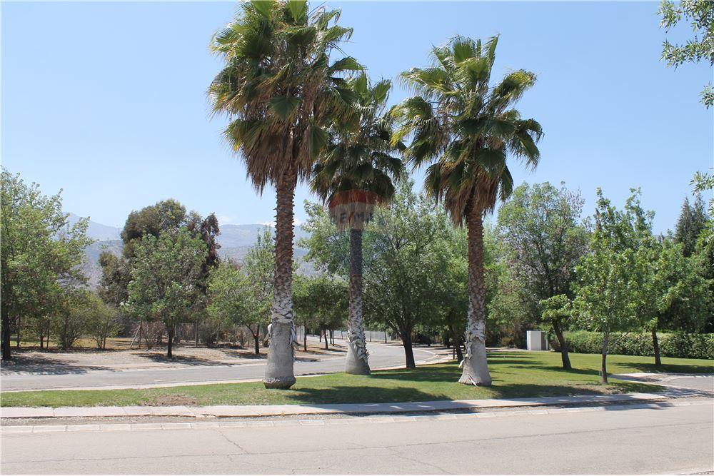 Konut - Arazi - Colina, Chacabuco, Metropolitana De Santiago - CL - 3 - 1028018148-405