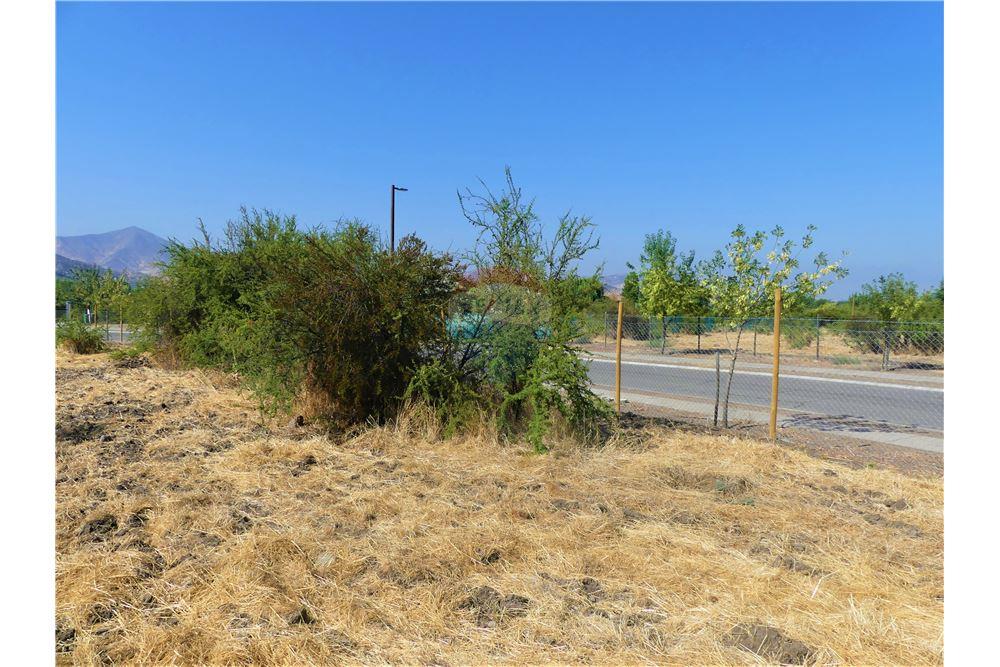 Konut - Arazi - Colina, Chacabuco, Metropolitana De Santiago - CL - 15 - 1028018148-405