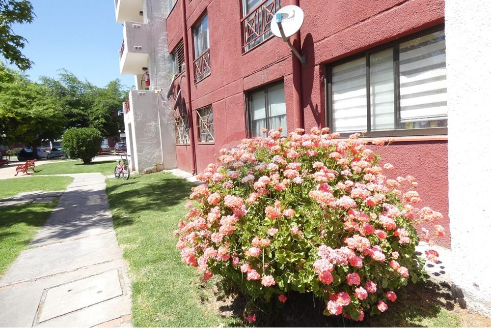 Residencial - Piso - Maipú, Santiago, Metropolitana De Santiago - CL - P1170673.JPG - 1028018333-433