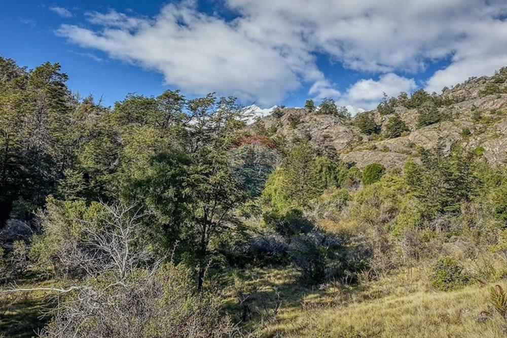 Gyvenamasis - Žemės sklypas - Chile Chico, General Carrera, Aisén - CL - IMG_2767.jpg - 1028085049-21