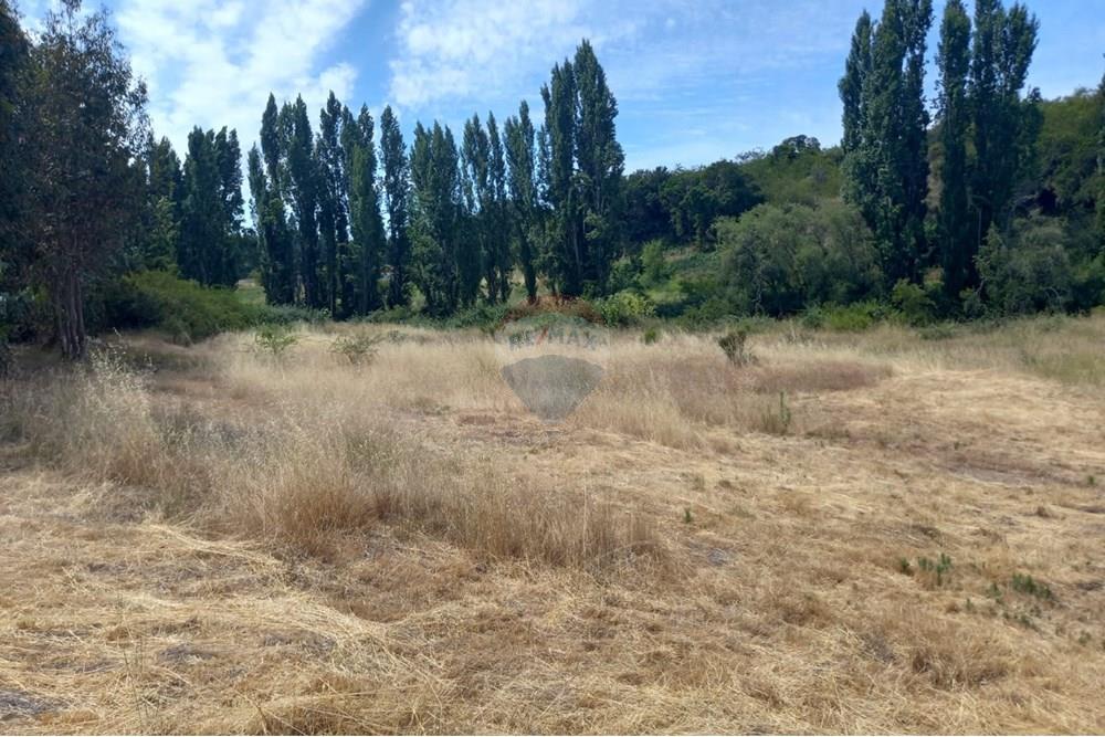 Residential - Ledig land - Litueche, Cardenal Caro, Libertador Gral. Bernardo O'Higgins - CL - Imagen de WhatsApp 2025-01-02 a las 15.22.14_280a1a2b.jpg - 1028103011-35